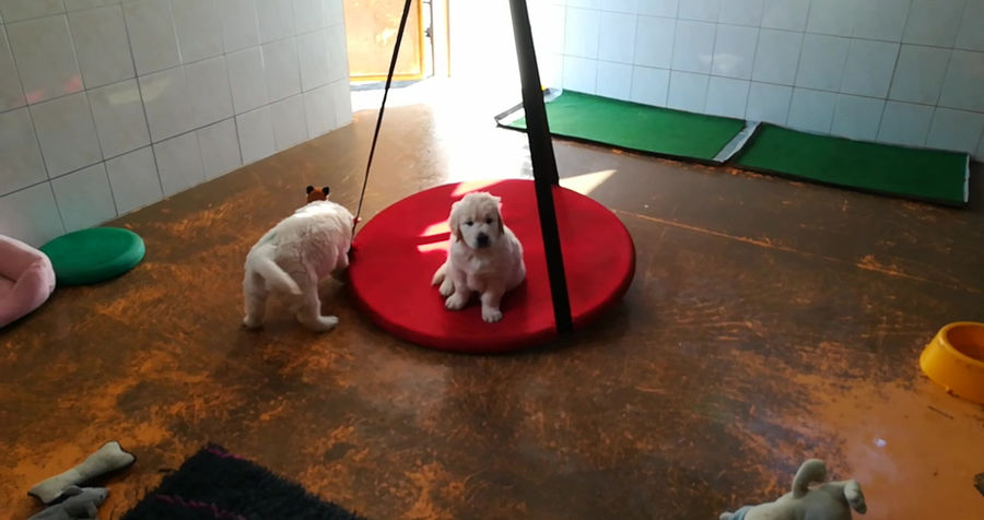 VID_20190610_093406